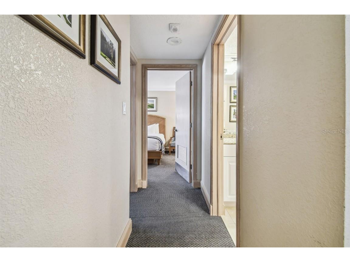 36750 Us Highway 19 N #04308 Palm Harbor FL 34684 TB8306986 image24