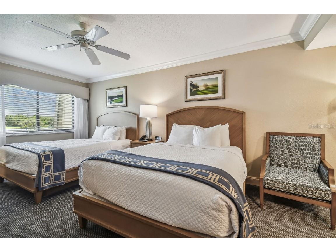 36750 Us Highway 19 N #04308 Palm Harbor FL 34684 TB8306986 image32