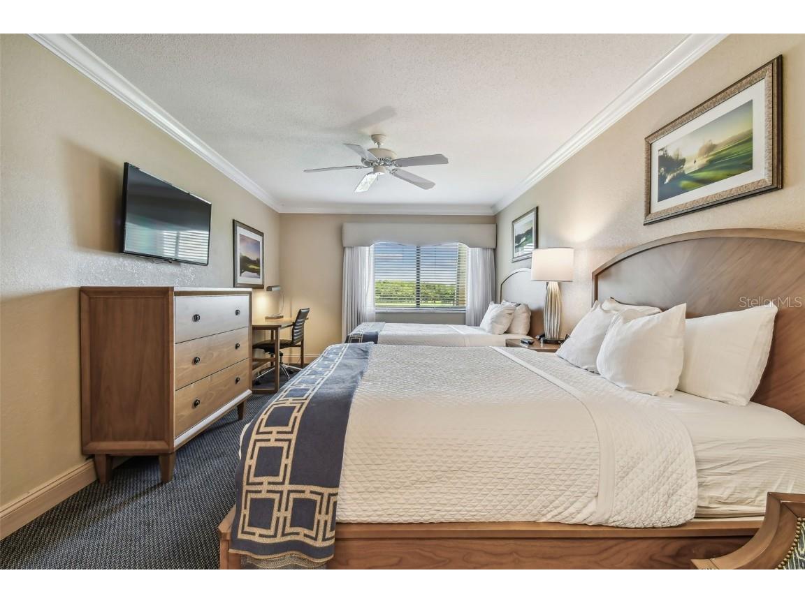 36750 Us Highway 19 N #04308 Palm Harbor FL 34684 TB8306986 image33