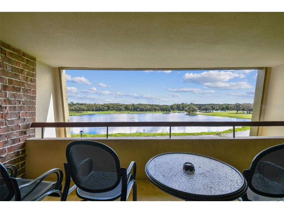 36750 Us Highway 19 N #04308 Palm Harbor FL 34684 TB8306986 image43