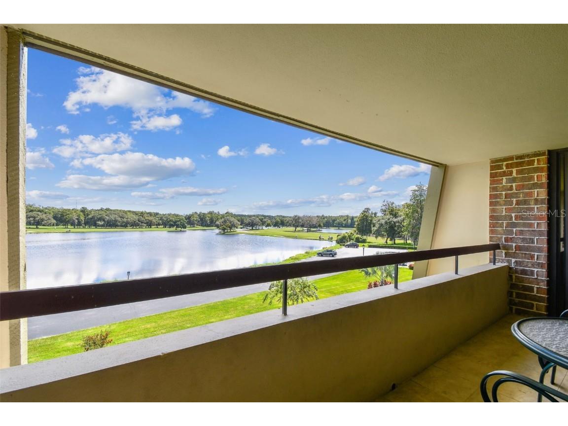 36750 Us Highway 19 N #04308 Palm Harbor FL 34684 TB8306986 image44