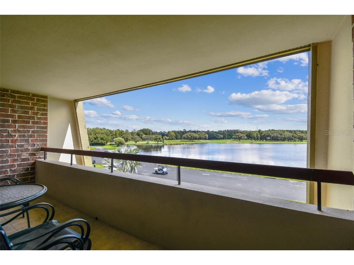 36750 Us Highway 19 N #04308 Palm Harbor FL 34684 TB8306986 image45