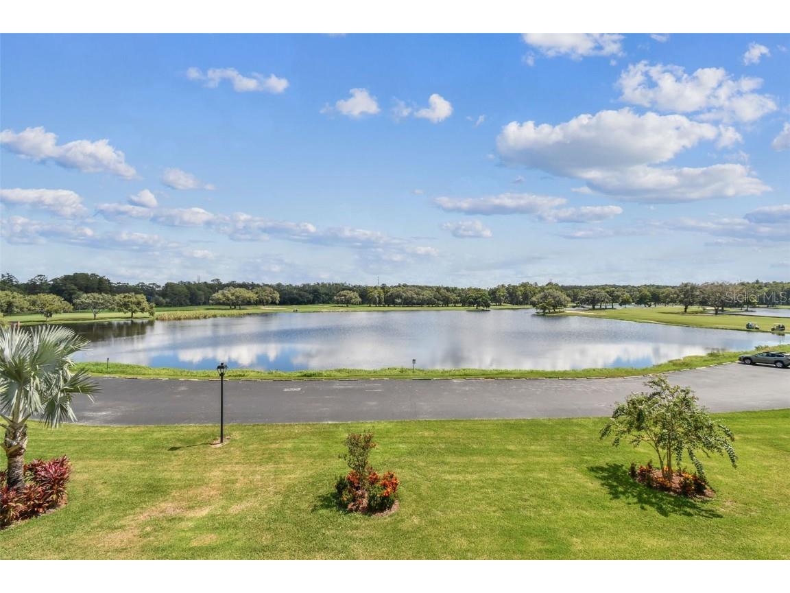 36750 Us Highway 19 N #04308 Palm Harbor FL 34684 TB8306986 image46