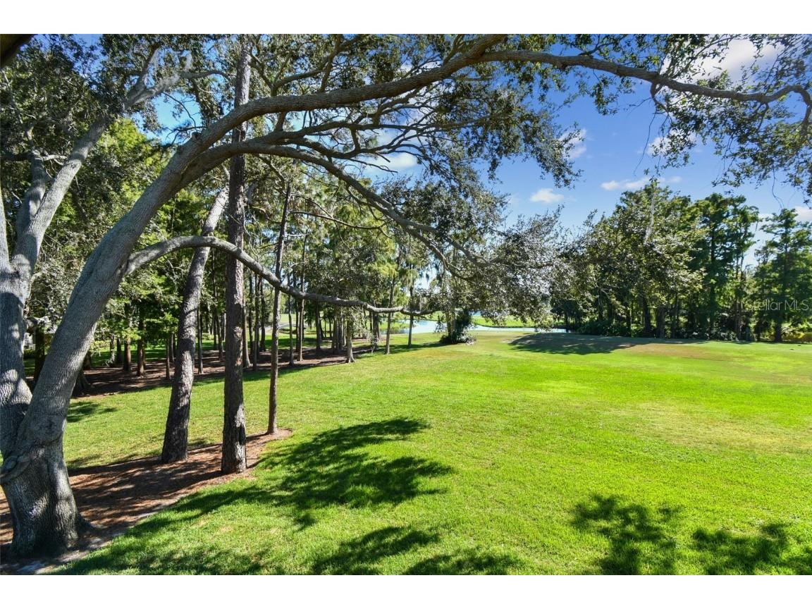 36750 Us Highway 19 N #05213 Palm Harbor FL 34684 TB8315614 image2