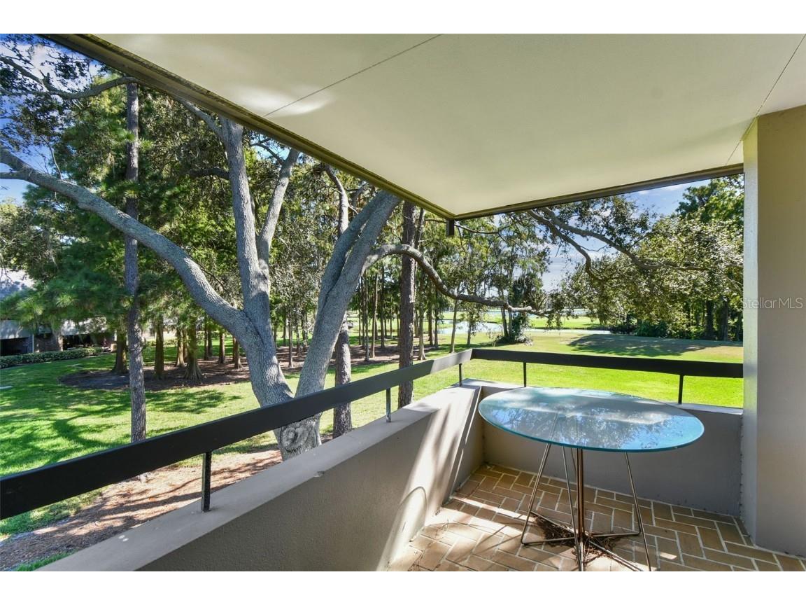 36750 Us Highway 19 N #05213 Palm Harbor FL 34684 TB8315614 image3