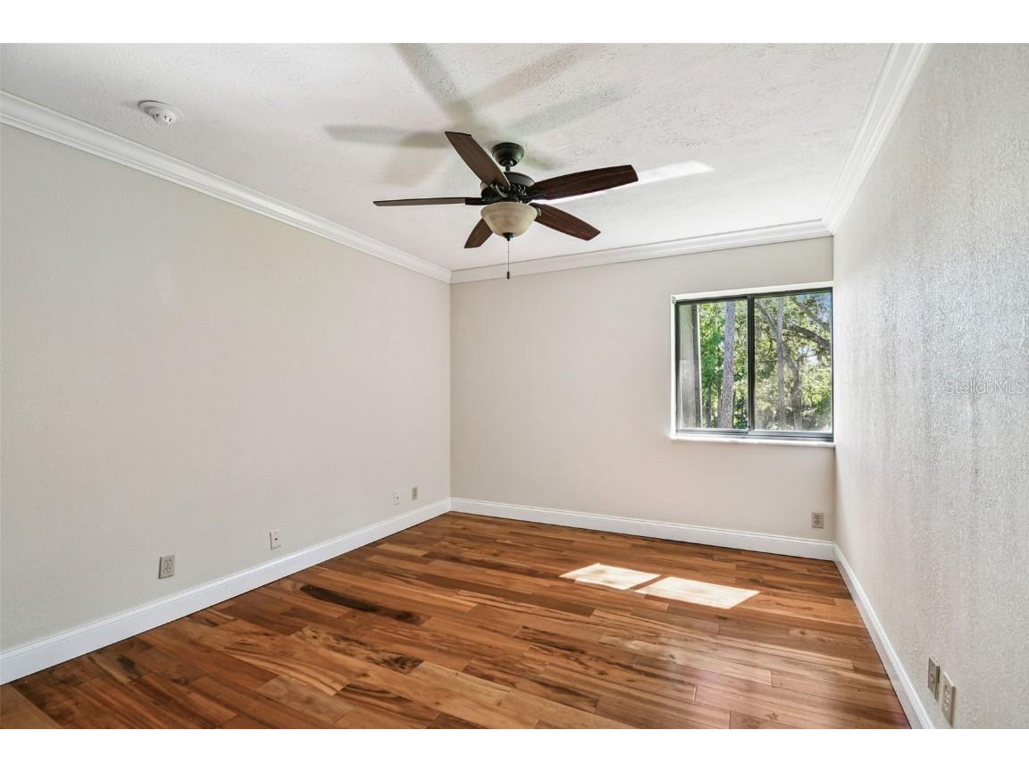 36750 Us Highway 19 N #05213 Palm Harbor FL 34684 TB8315614 image34