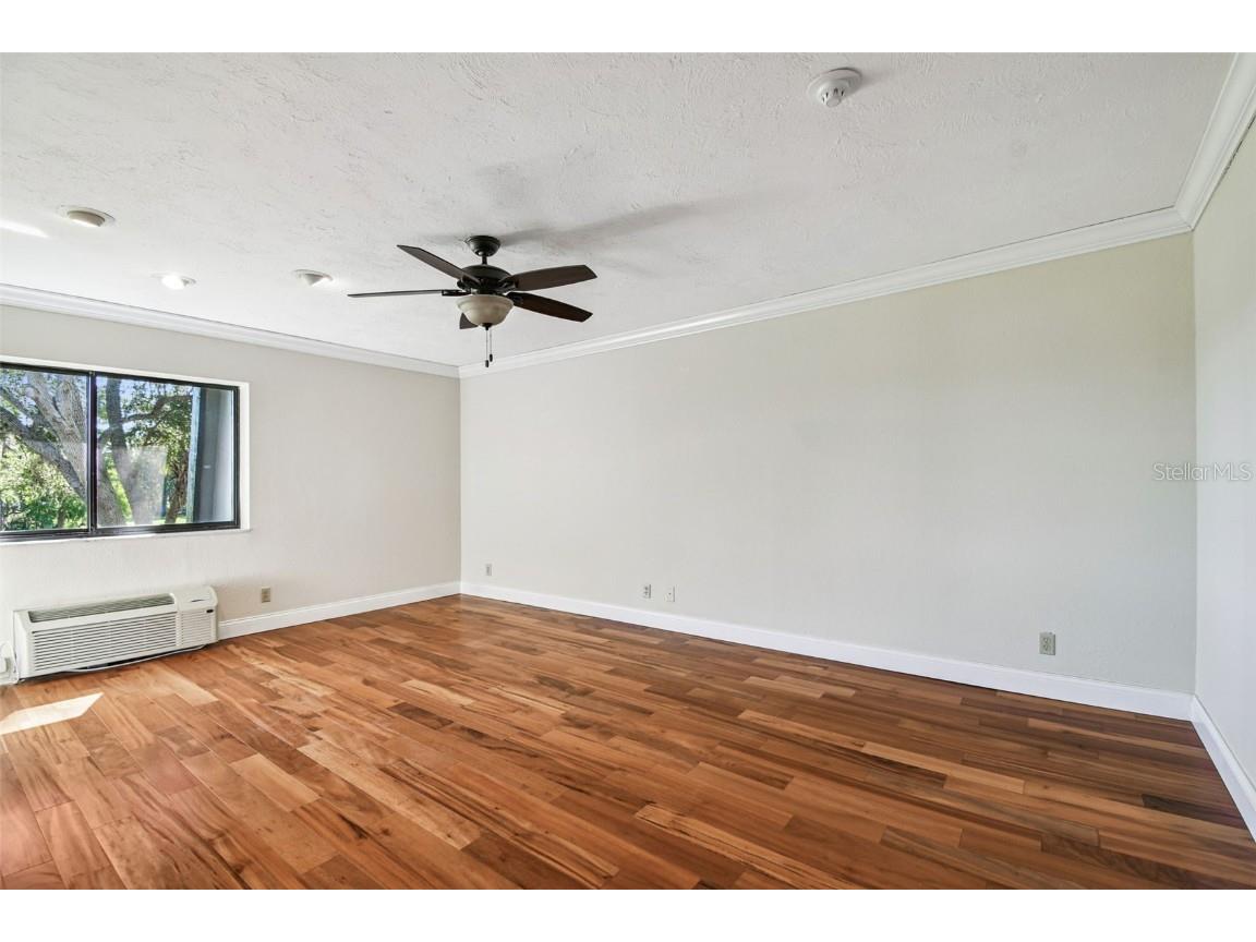 36750 Us Highway 19 N #05213 Palm Harbor FL 34684 TB8315614 image38