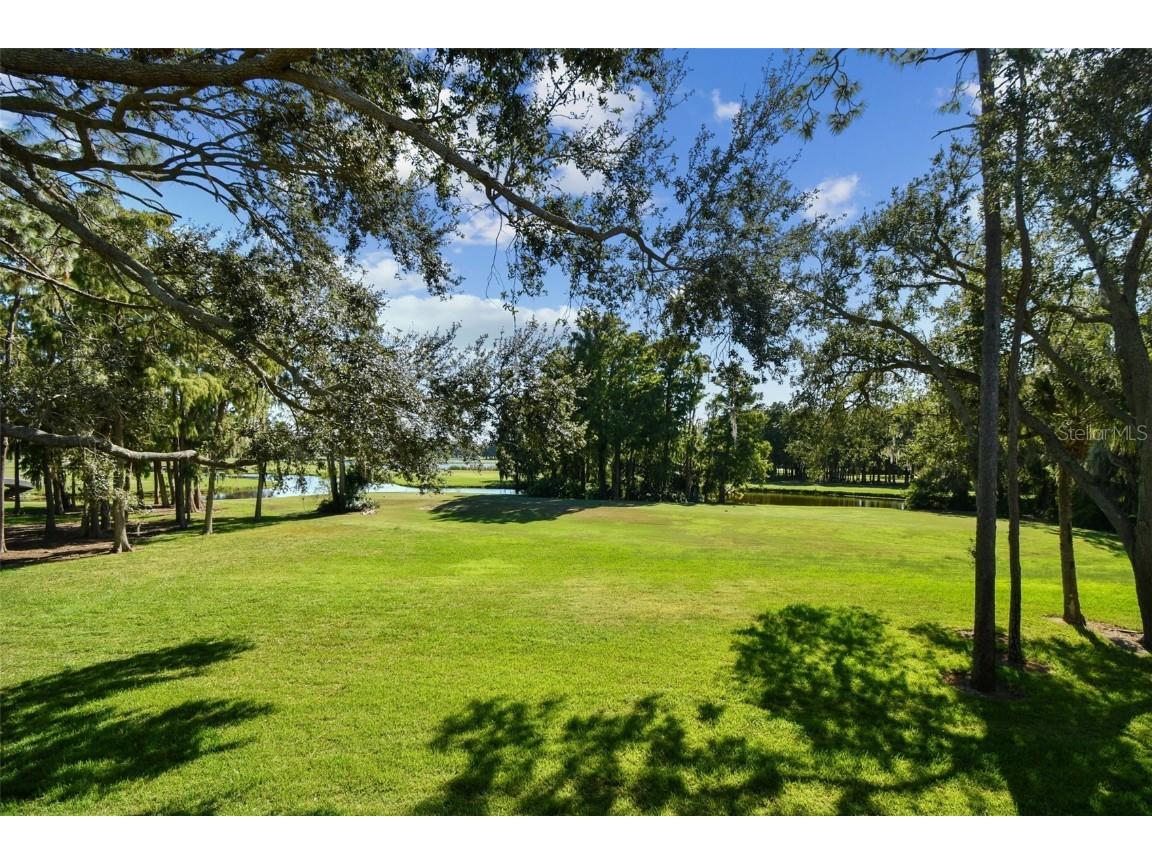 36750 Us Highway 19 N #05213 Palm Harbor FL 34684 TB8315614 image5