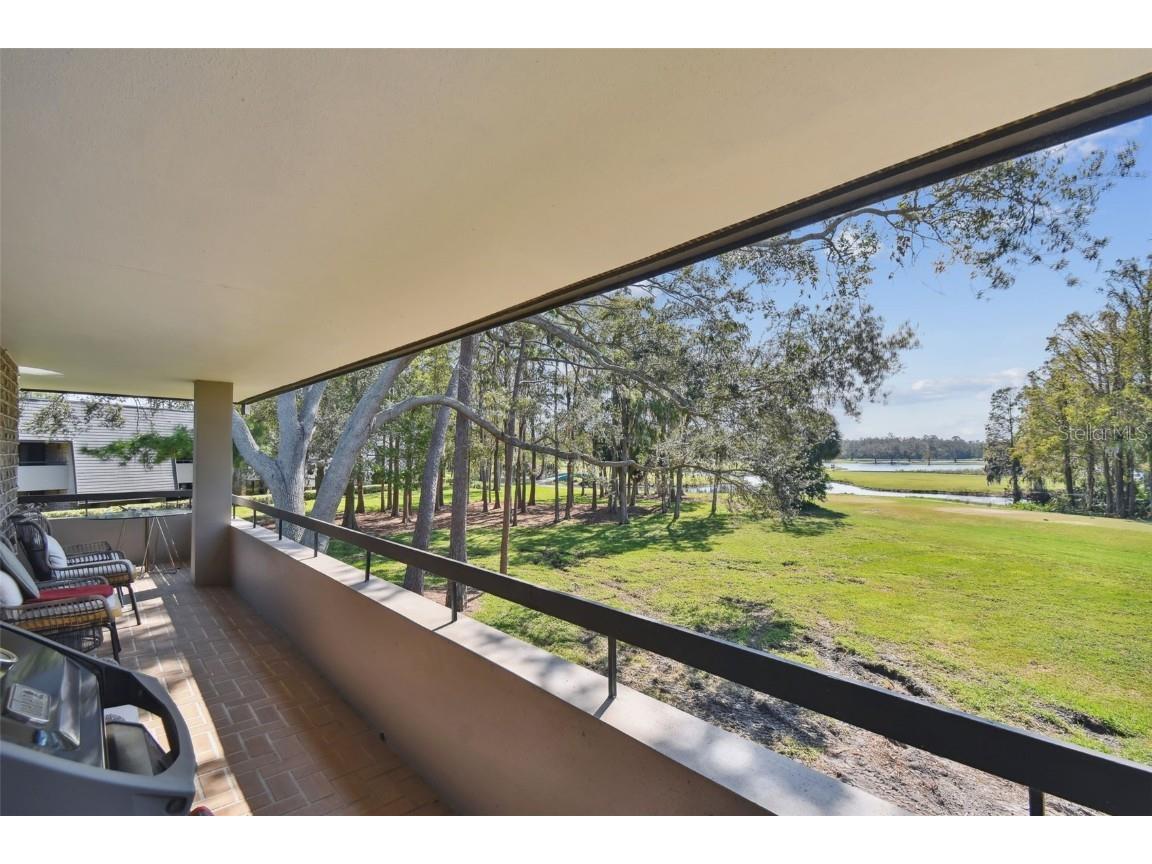 36750 Us Highway 19 N #05213 Palm Harbor FL 34684 TB8315614 image7