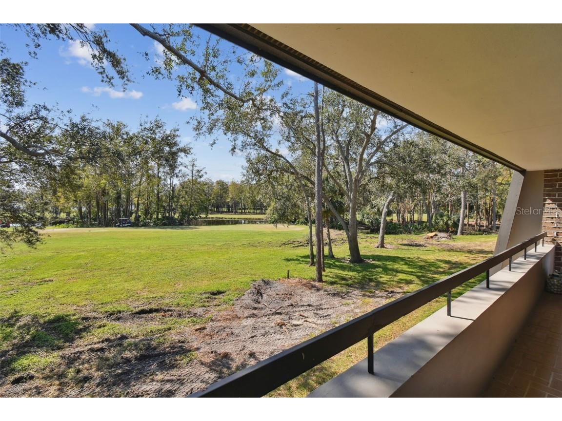 36750 Us Highway 19 N #05213 Palm Harbor FL 34684 TB8315614 image8