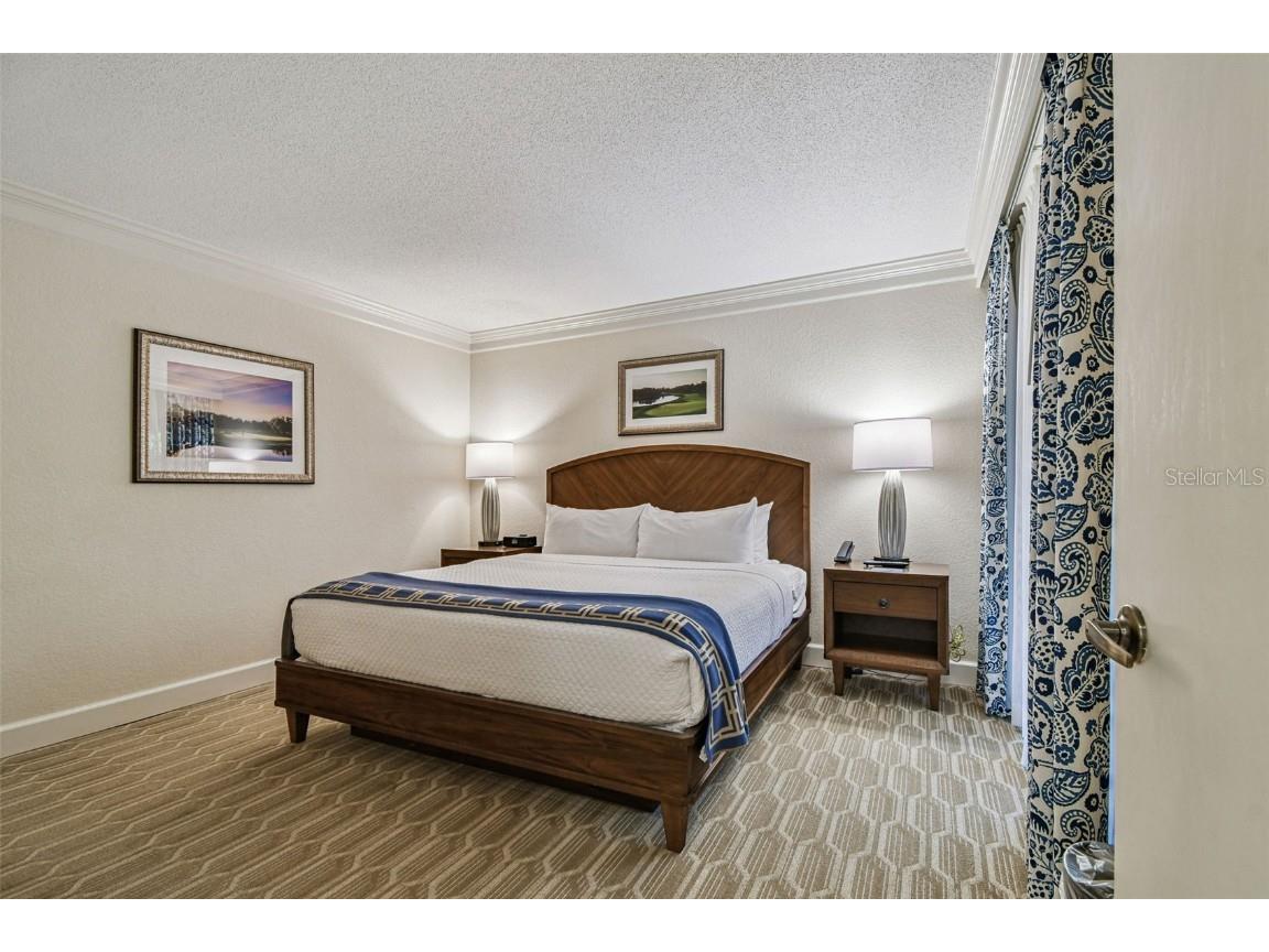 36750 Us Highway 19 N #08111 Palm Harbor FL 34684 TB8450299 image24