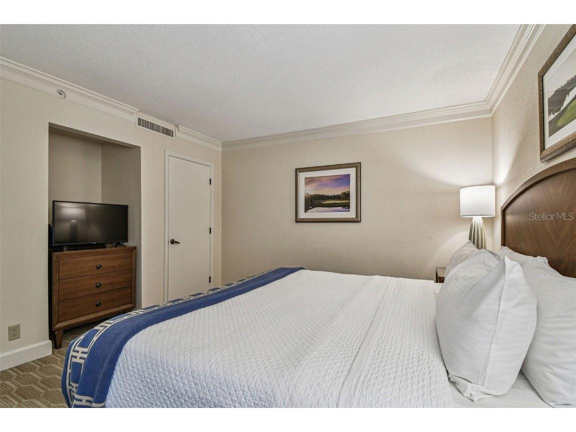 36750 Us Highway 19 N #08111 Palm Harbor FL 34684 TB8450299 image25