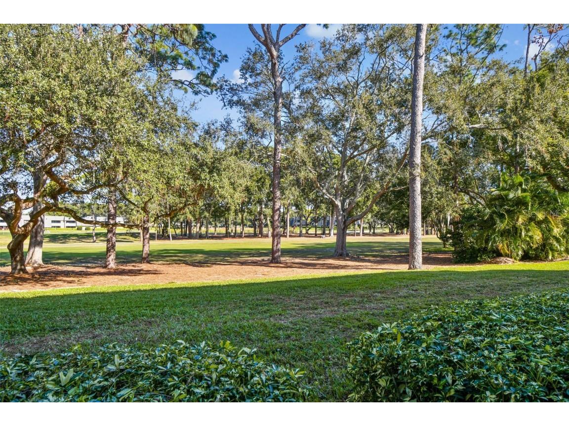 36750 Us Highway 19 N #08111 Palm Harbor FL 34684 TB8450299 image31