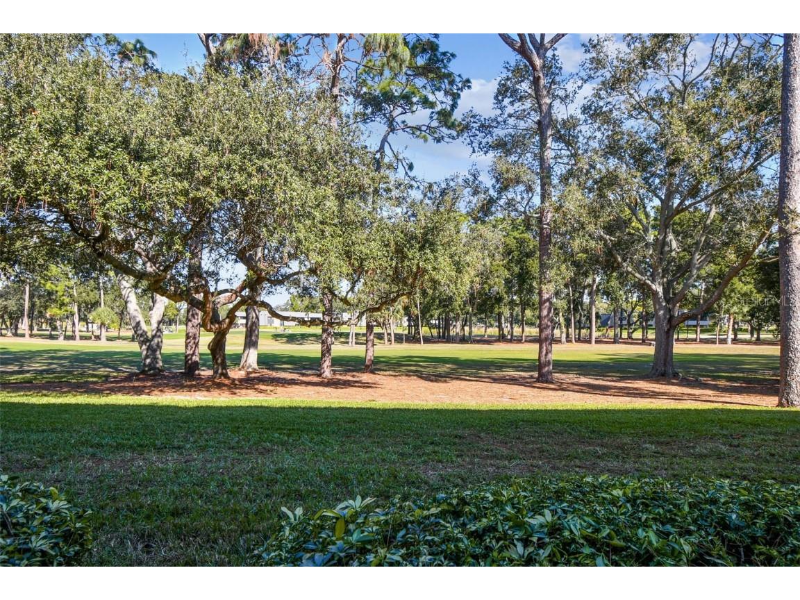 36750 Us Highway 19 N #08111 Palm Harbor FL 34684 TB8450299 image32