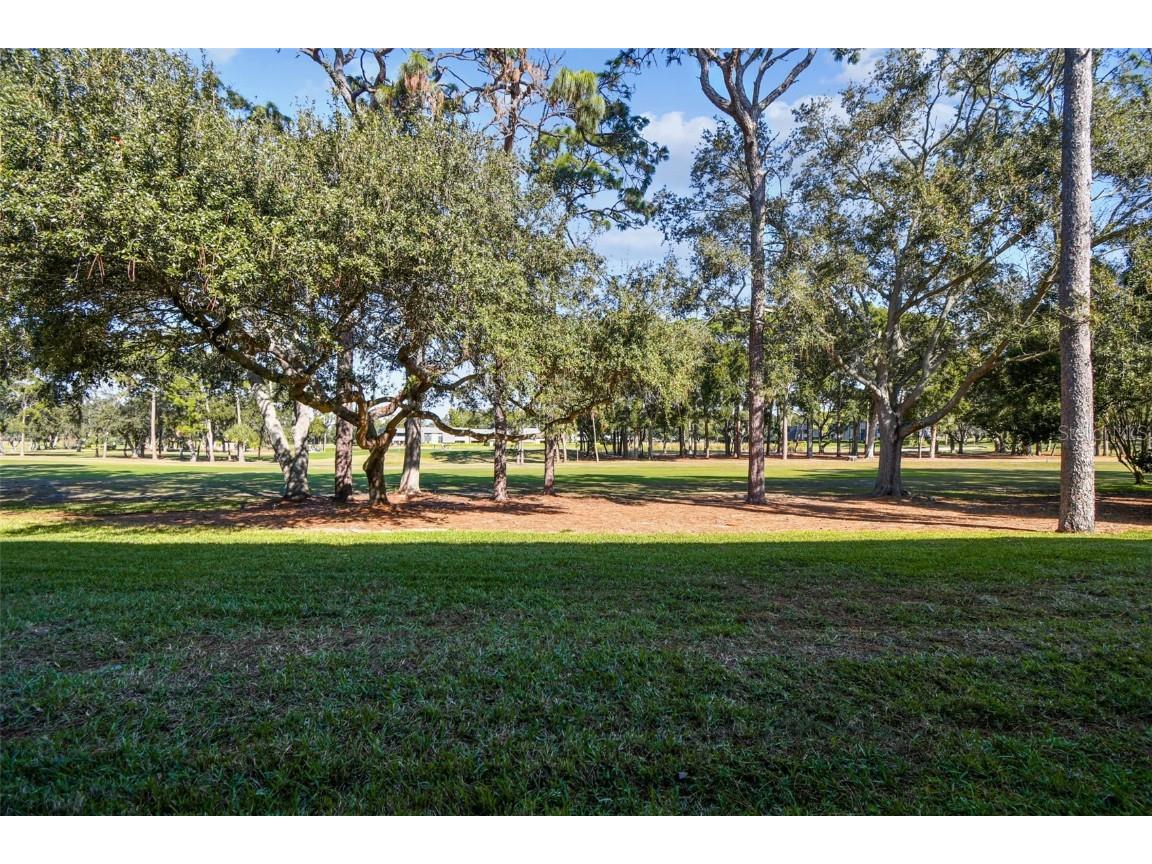 36750 Us Highway 19 N #08111 Palm Harbor FL 34684 TB8450299 image33