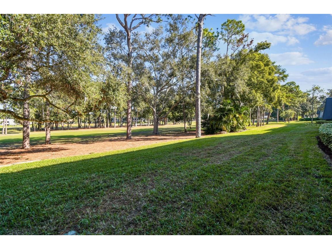 36750 Us Highway 19 N #08111 Palm Harbor FL 34684 TB8450299 image34