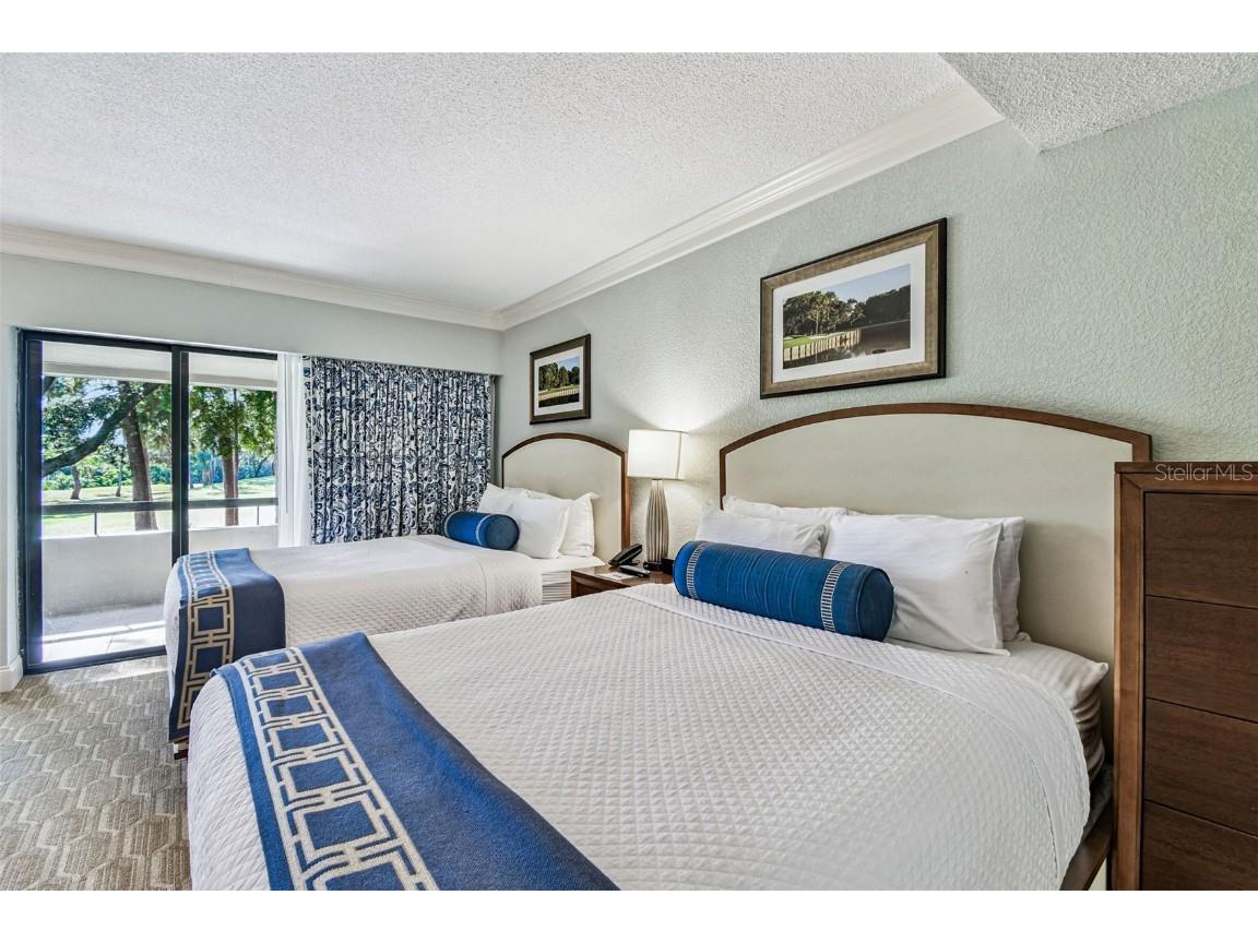 36750 Us Highway 19 N #09209 Palm Harbor FL 34684 TB8448179 image24