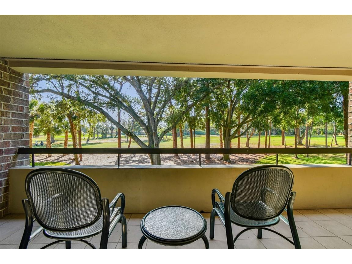 36750 Us Highway 19 N #09209 Palm Harbor FL 34684 TB8448179 image31