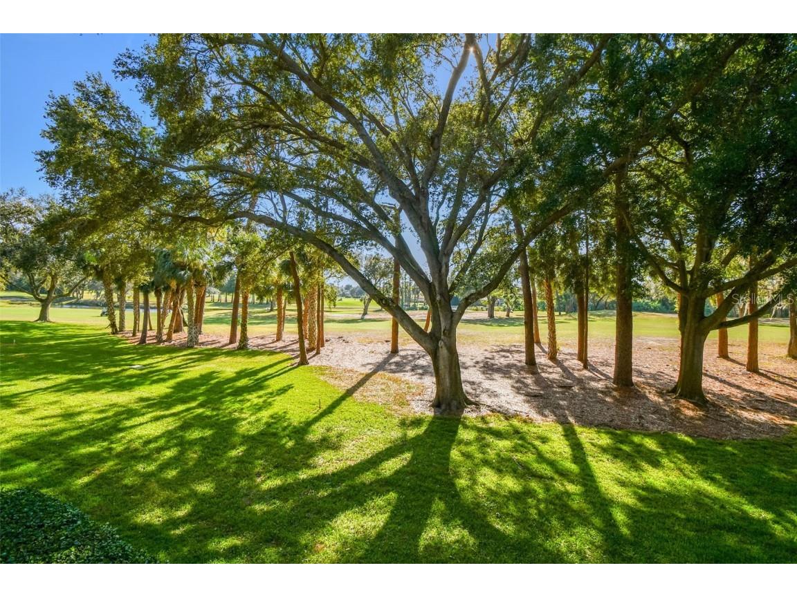 36750 Us Highway 19 N #09209 Palm Harbor FL 34684 TB8448179 image36