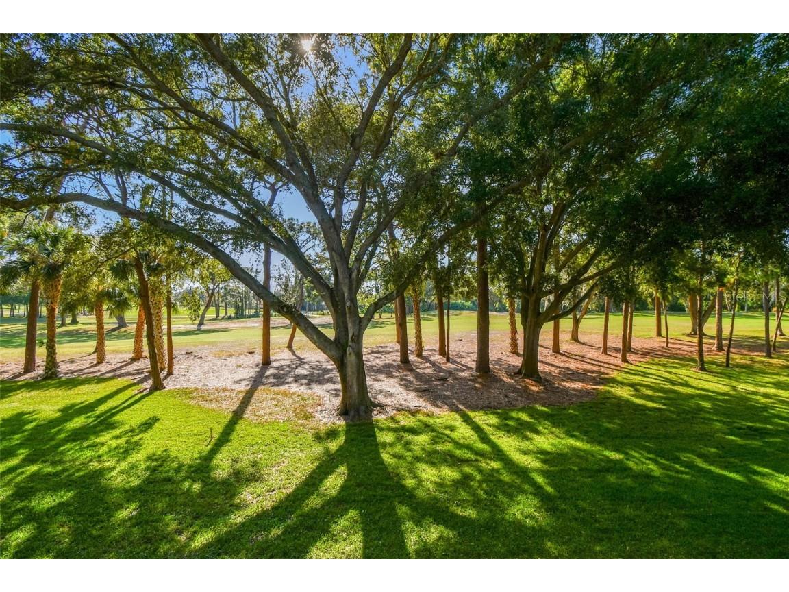 36750 Us Highway 19 N #09209 Palm Harbor FL 34684 TB8448179 image37