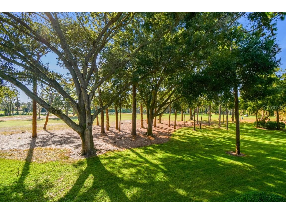 36750 Us Highway 19 N #09209 Palm Harbor FL 34684 TB8448179 image38