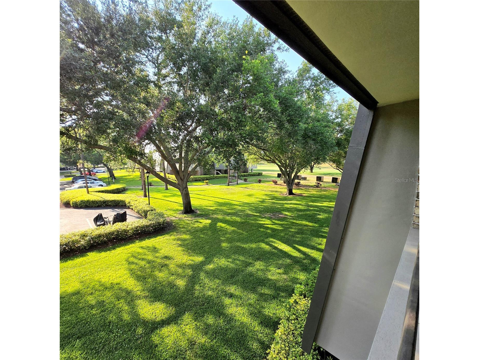 36750 Us Highway 19 N #11-210 Palm Harbor FL 34683 TB8491756 image17