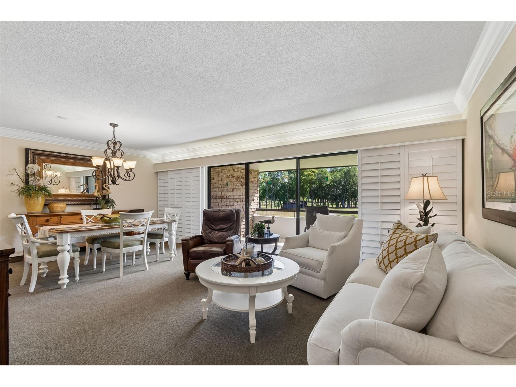 36750 Us Highway 19 N #11205 Palm Harbor FL 34684 TB8499575 image22