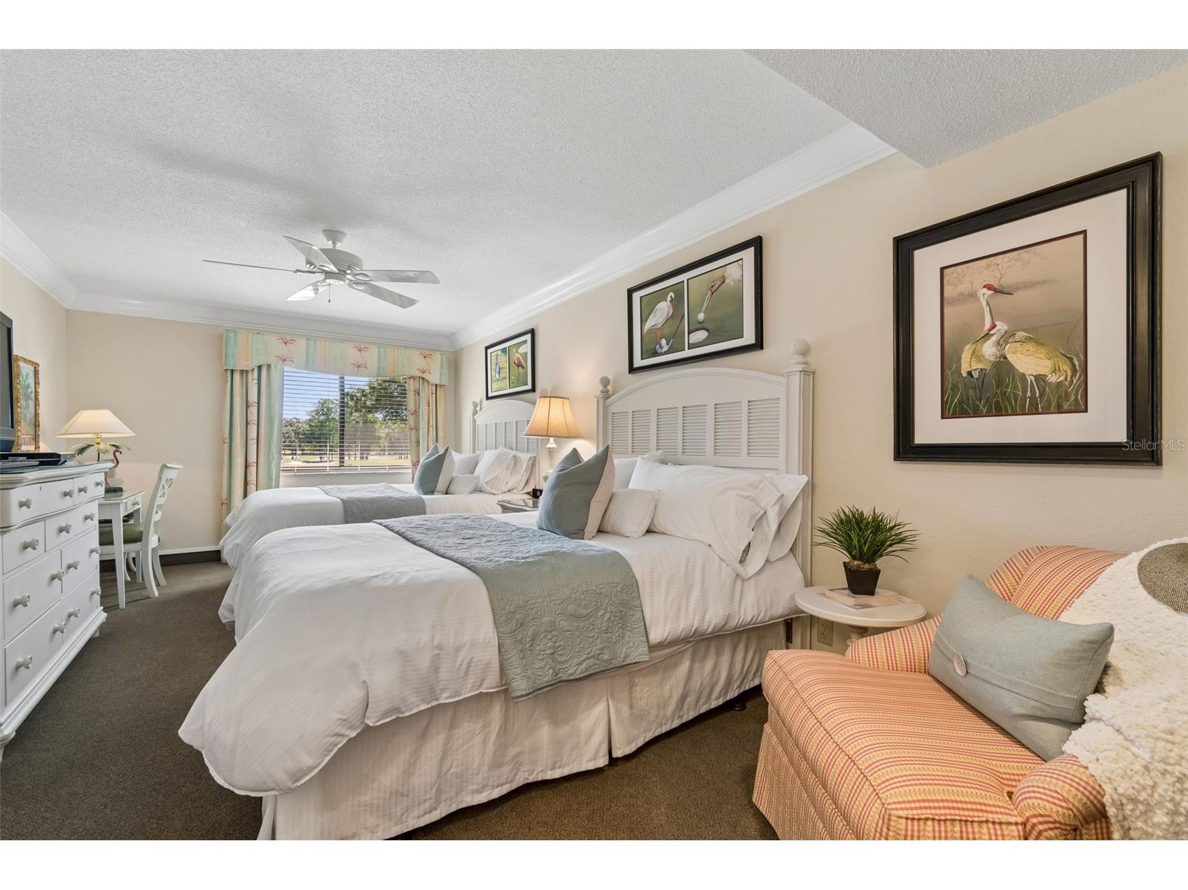 36750 Us Highway 19 N #11205 Palm Harbor FL 34684 TB8499575 image31