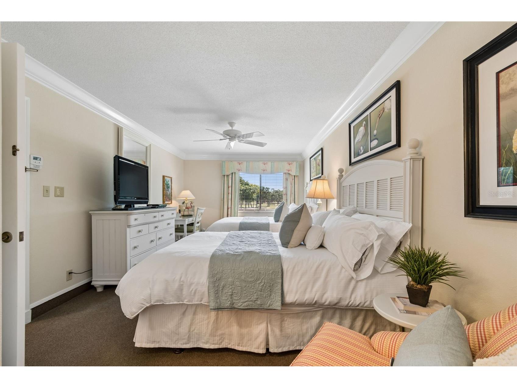 36750 Us Highway 19 N #11205 Palm Harbor FL 34684 TB8499575 image32