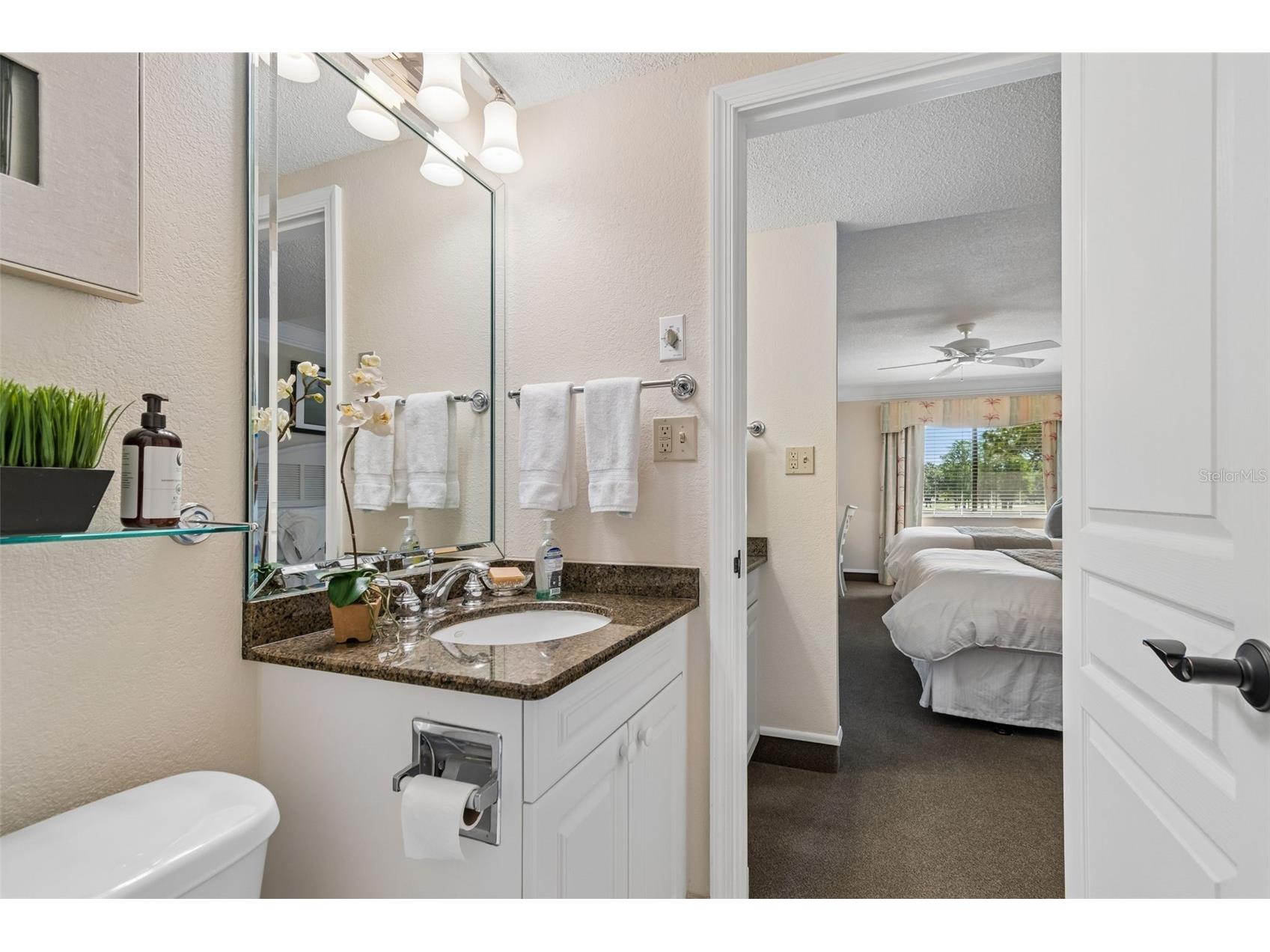 36750 Us Highway 19 N #11205 Palm Harbor FL 34684 TB8499575 image39
