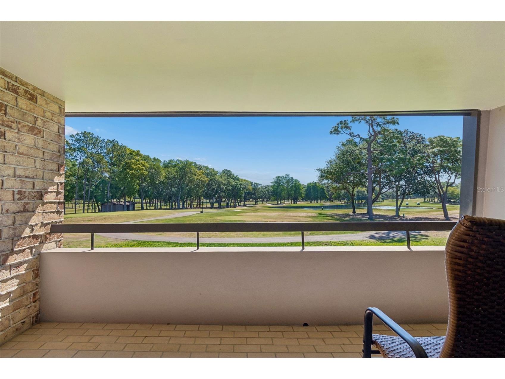 36750 Us Highway 19 N #11205 Palm Harbor FL 34684 TB8499575 image40
