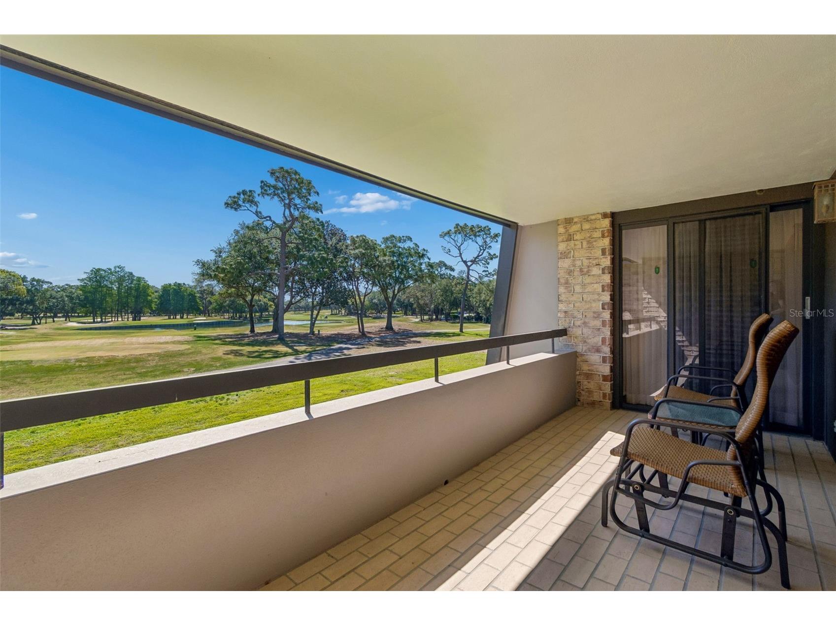 36750 Us Highway 19 N #11205 Palm Harbor FL 34684 TB8499575 image41