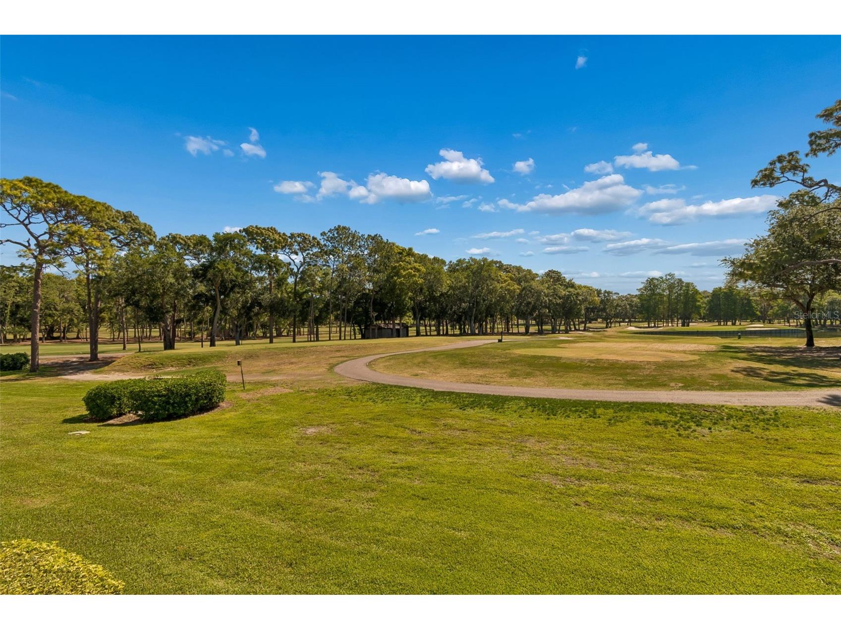 36750 Us Highway 19 N #11205 Palm Harbor FL 34684 TB8499575 image44