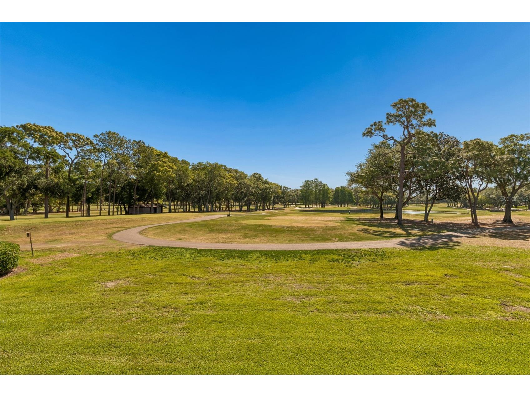 36750 Us Highway 19 N #11205 Palm Harbor FL 34684 TB8499575 image45