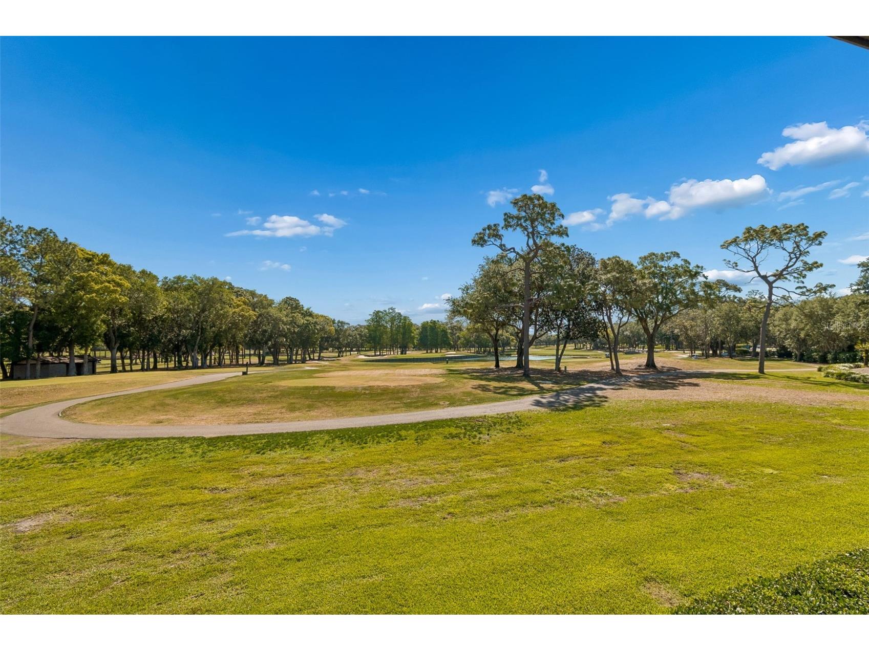 36750 Us Highway 19 N #11205 Palm Harbor FL 34684 TB8499575 image46