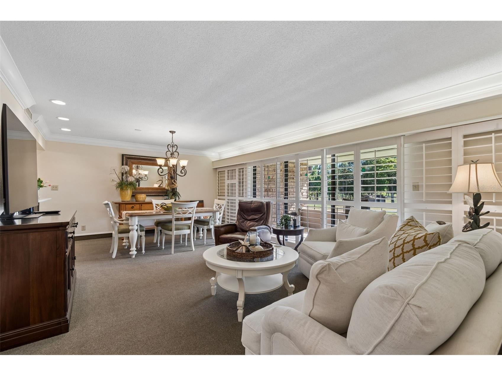 36750 Us Highway 19 N #11205 Palm Harbor FL 34684 TB8499575 image5