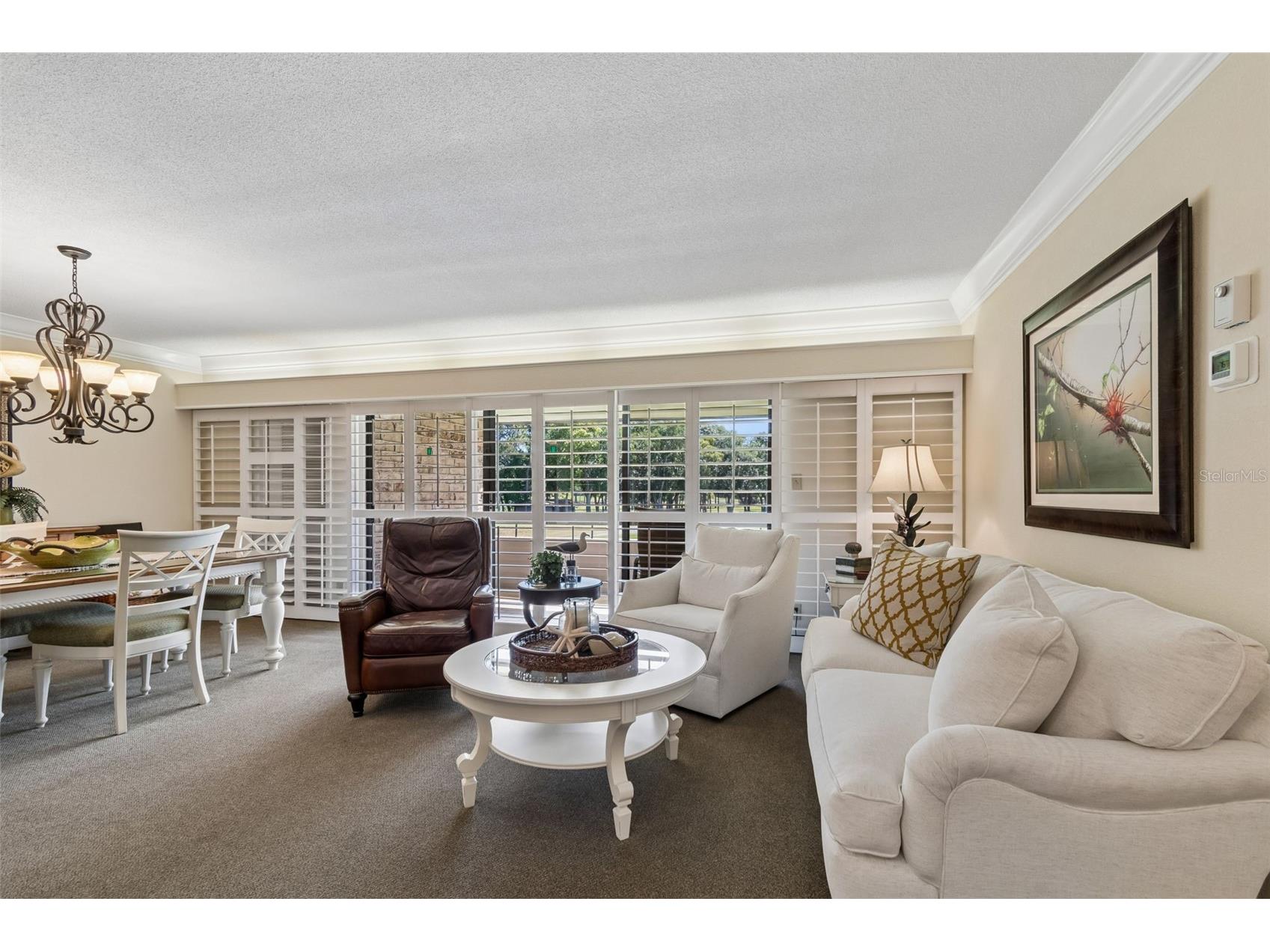 36750 Us Highway 19 N #11205 Palm Harbor FL 34684 TB8499575 image6
