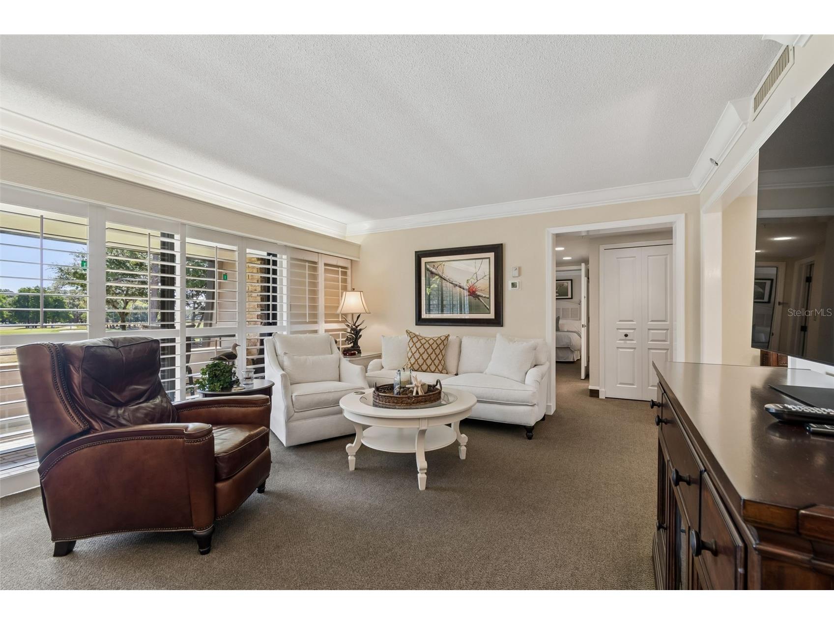 36750 Us Highway 19 N #11205 Palm Harbor FL 34684 TB8499575 image7