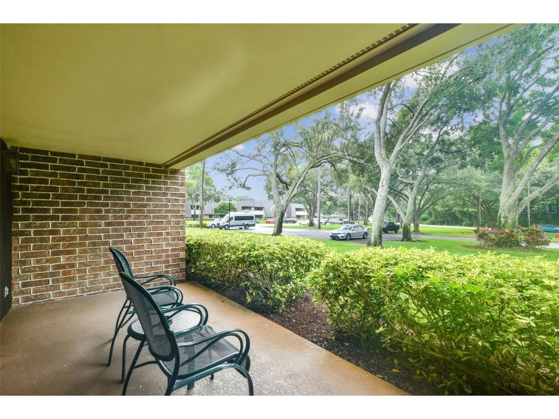 36750 Us Highway 19 N #12-106 Palm Harbor FL 34684 U8217553 image18