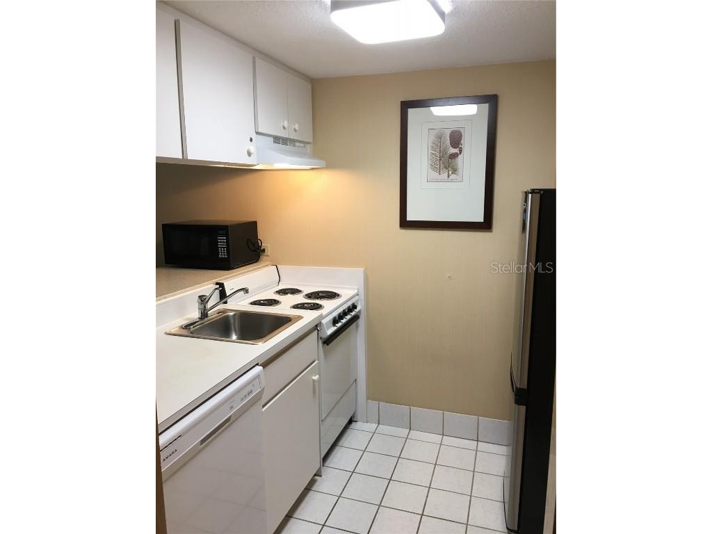 36750 Us Highway 19 N #13-214 Palm Harbor FL 34683 TB8441706 image4