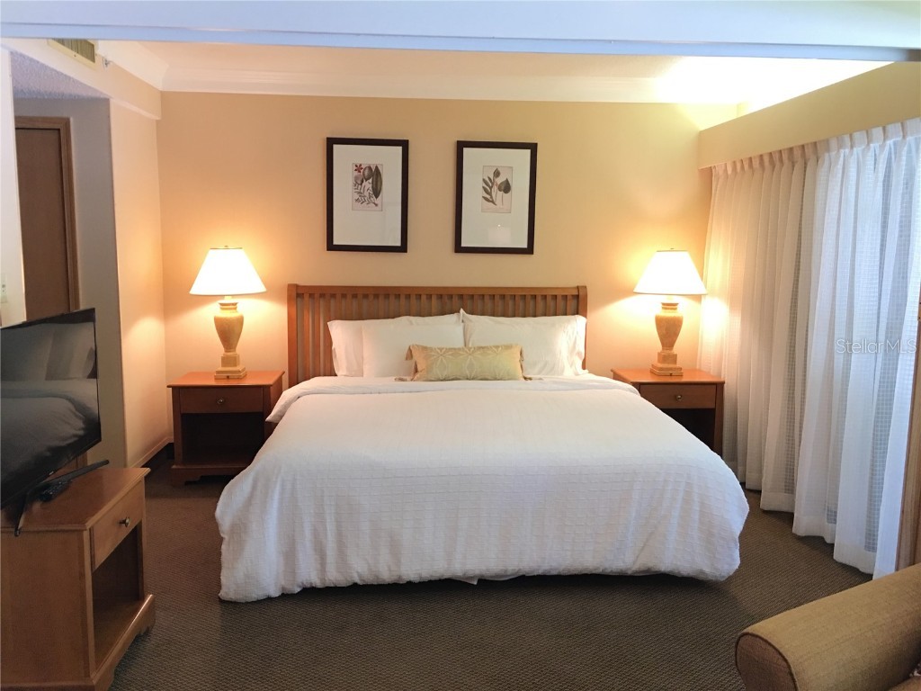 36750 Us Highway 19 N #13-214 Palm Harbor FL 34683 TB8441706 image5