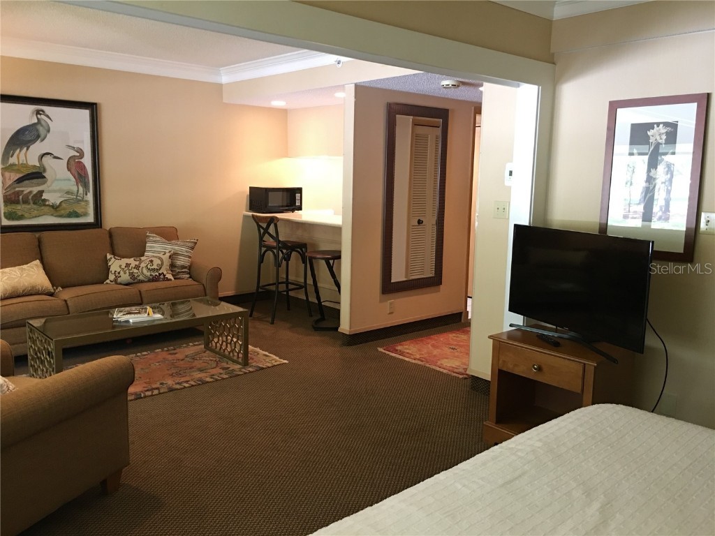 36750 Us Highway 19 N #13-214 Palm Harbor FL 34683 TB8441706 image6