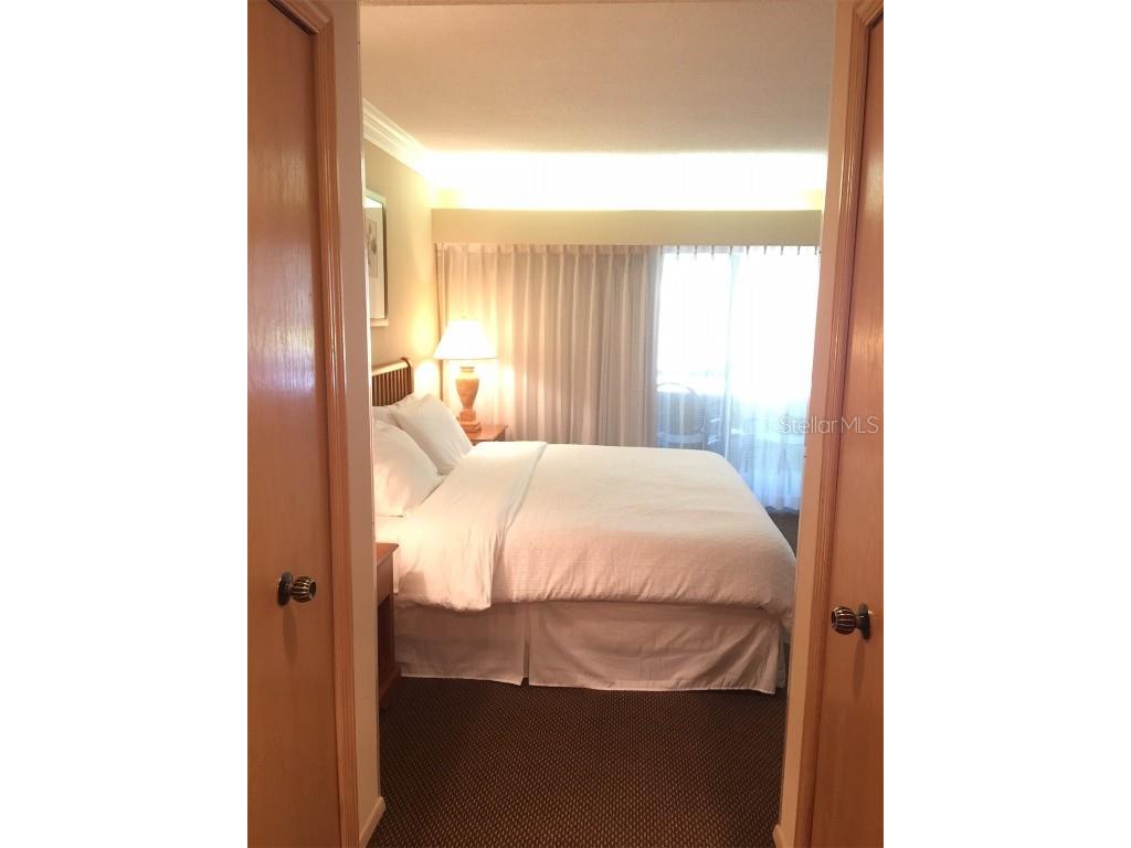 36750 Us Highway 19 N #13-214 Palm Harbor FL 34683 TB8441706 image9