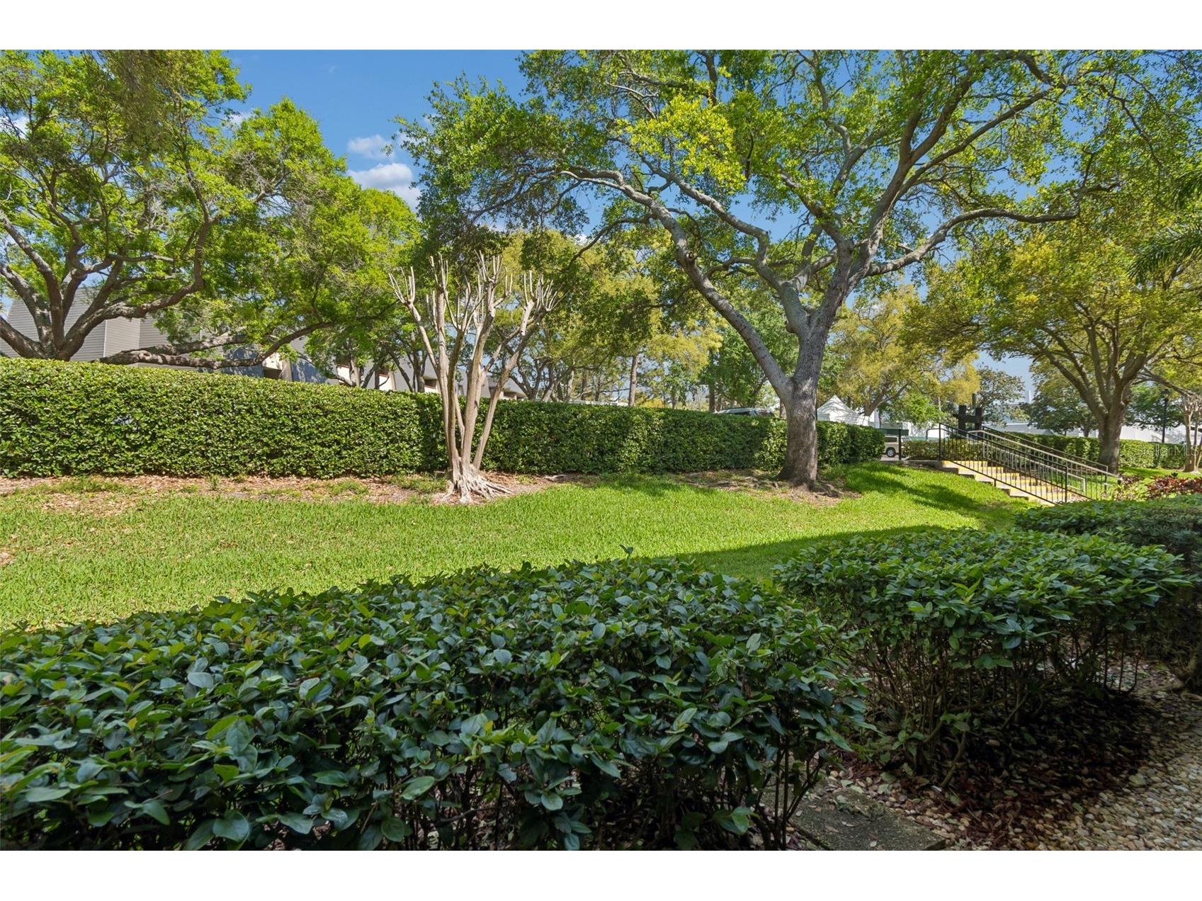 36750 Us Highway 19 N #13118 Palm Harbor FL 34684 TB8481836 image24