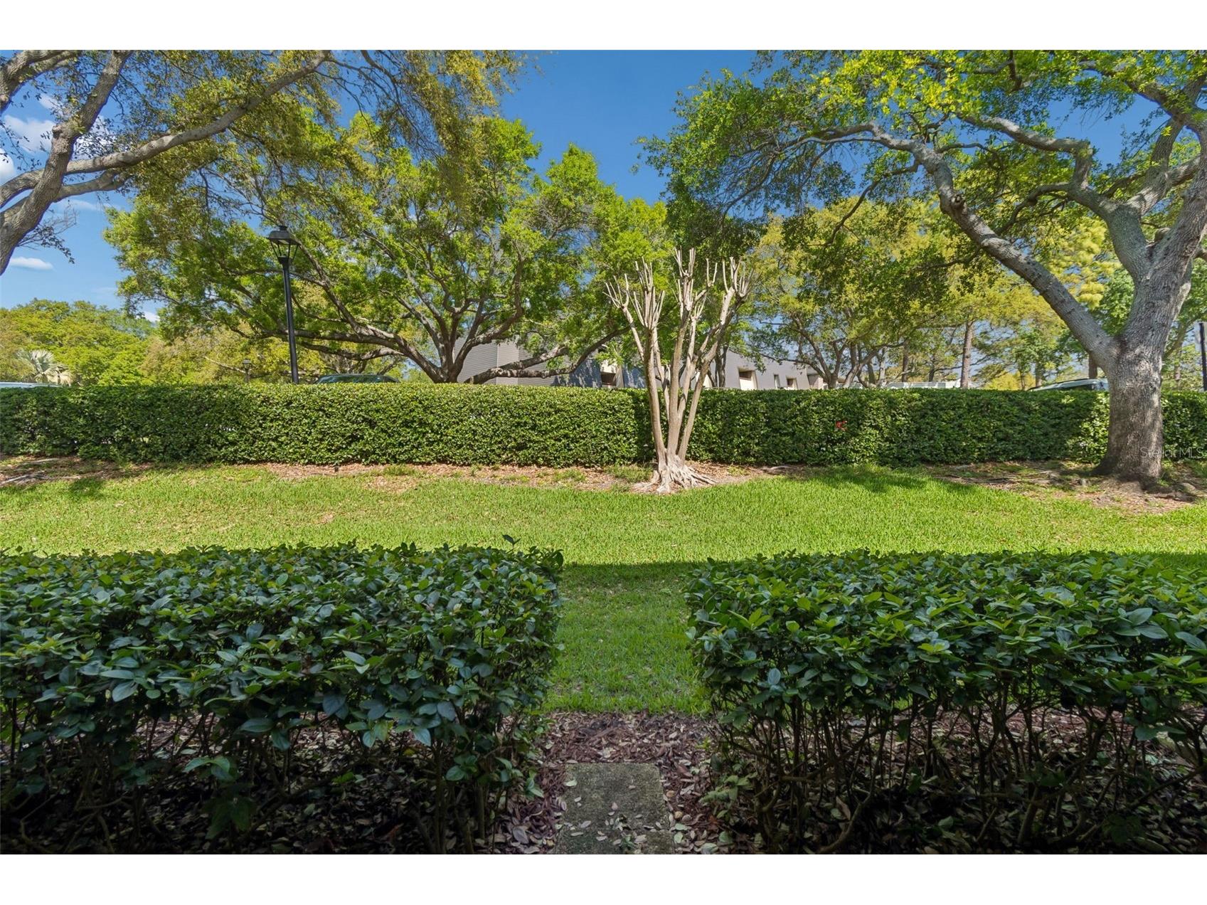 36750 Us Highway 19 N #13118 Palm Harbor FL 34684 TB8481836 image25