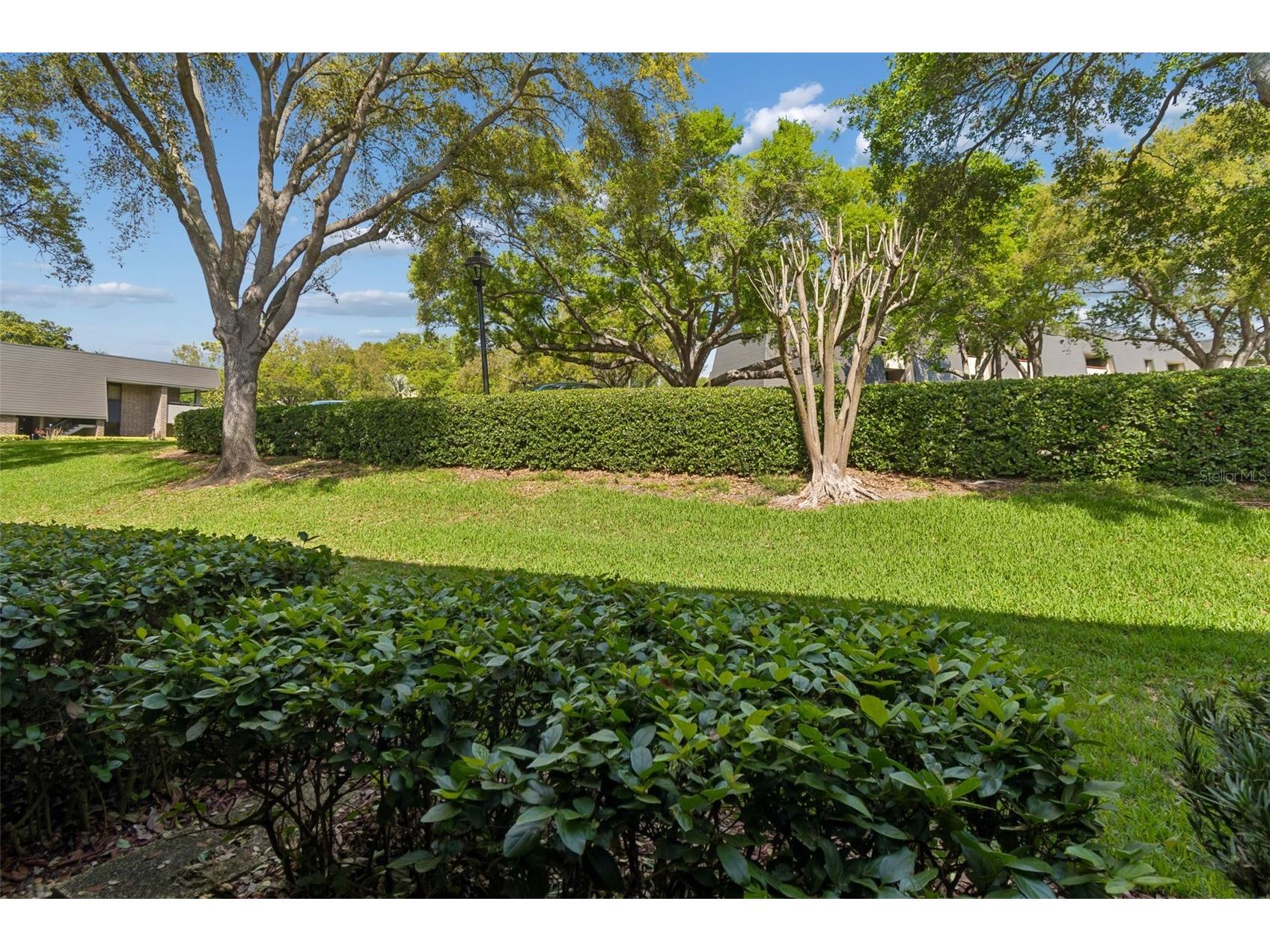 36750 Us Highway 19 N #13118 Palm Harbor FL 34684 TB8481836 image26
