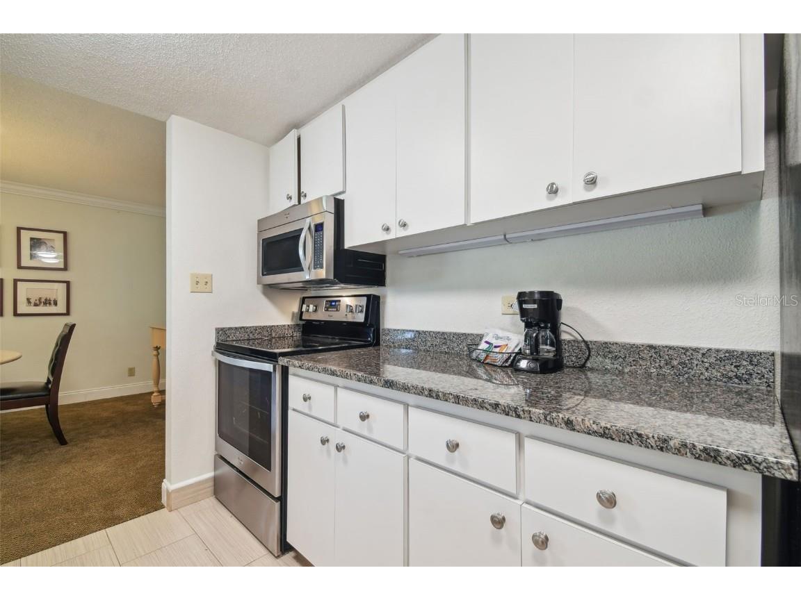 36750 Us Highway 19 N #13202 Palm Harbor FL 34684 U8247308 image14