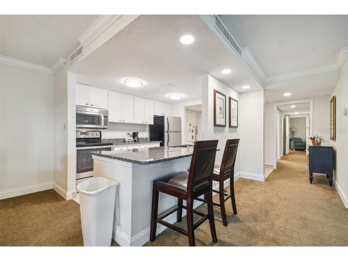 36750 Us Highway 19 N #13202 Palm Harbor FL 34684 U8247308 image19