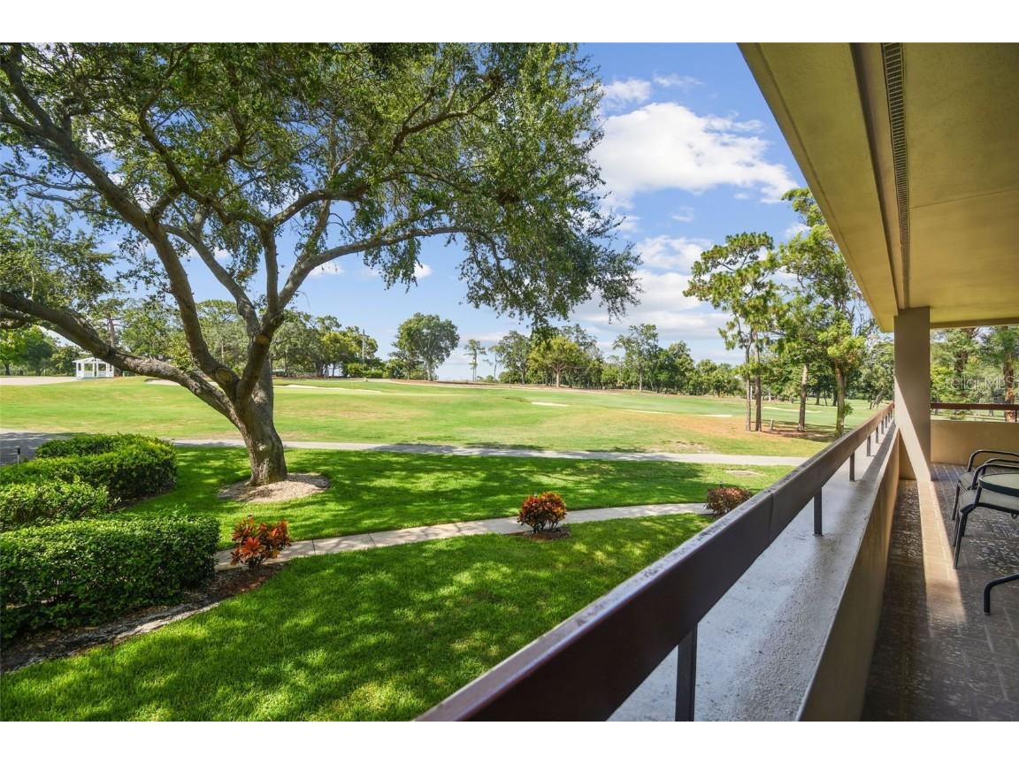 36750 Us Highway 19 N #13202 Palm Harbor FL 34684 U8247308 image2