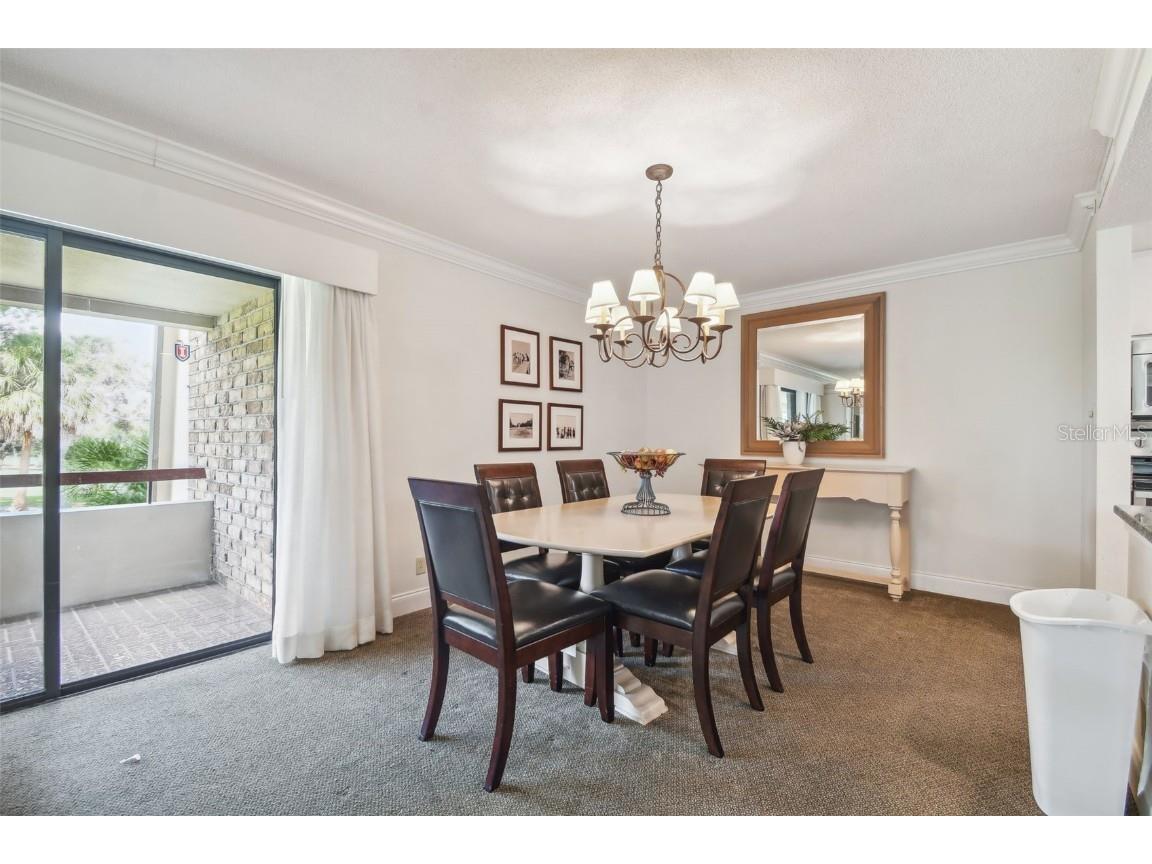 36750 Us Highway 19 N #13202 Palm Harbor FL 34684 U8247308 image21